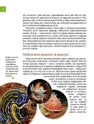 Тварини - майстри маскування. Енциклопедія для допитливих - Андрій Гапченко - мініатюра 4