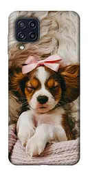 TPU чохол Demsky Sleepy spaniel для Samsung Galaxy M32
