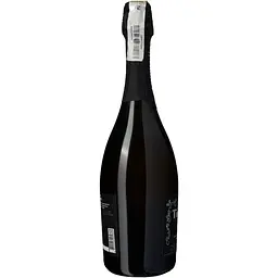 Вино ігристе Villa Tinta Tintarella Brut, 12,5%, 0,75 л (8000018914832) - мініатюра 2
