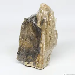 Декоративний природній камінь Hobby Petrified Wood S 0.3-1.0кг (40686) - мініатюра 5