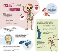 Скелети і кістки. Енциклопедія з віконцями - Ганна Булгакова - мініатюра 5
