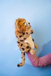 М'яка іграшка на руку Hansa Puppet Гепард, 32 см (7503) - мініатюра 4