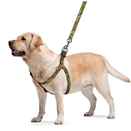 Шлея для собак WAUDOG Nylon з QR-паспортом "Мілітарі" M (331-4026) - мініатюра 2