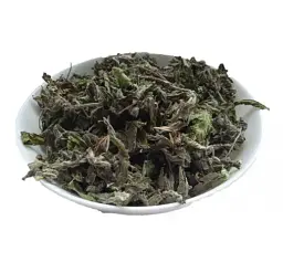 Меліса лікарська Трава Маточник Кадило Медівка Пасіка Melissa officinalis