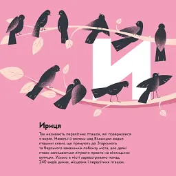 Вінниця - Зоряна Живка - мініатюра 11