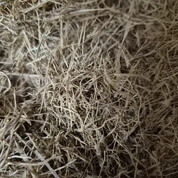 100 г котячий кіготь (ункарія опушена) – кора подрібнена, сушенаа - свіжий урожай