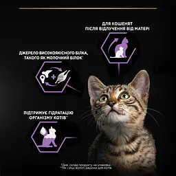 Вологий корм Purina Pro Plan Baby Kitten Healthy Start для кошенят з куркою 85 г (12459008) - мініатюра 7
