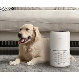 Очищувач повітря Levoit Smart Air Purifier Core 300S Plus [HEAPAPLVSEU0104] [120876] - мініатюра 6