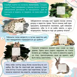 100 цікавинок. Комахи - Катерина Шаповалова - мініатюра 2