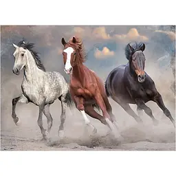 Пазли тришарові Interdruk Horses 1, 1000 шт. (384966) - мініатюра 2