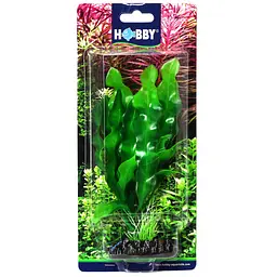 Штучна рослина Hobby Echinodrus 20 см (41504) - мініатюра 2