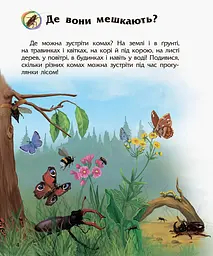 Енциклопедія дошкільника (нова) Видавництво Ранок Комахи - мініатюра 3