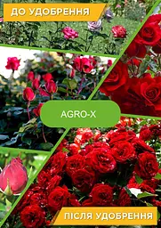 Мінеральне добриво Agro-x Plant builder Плант билдер для квітучих рослин 80 г (47653) - мініатюра 2