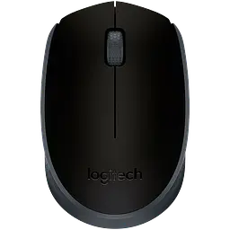 Миша Logitech M171 Чорний (910-00442)