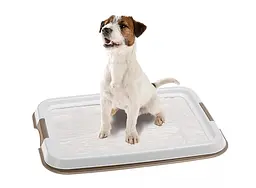 Туалет для собак Ferplast Hygienic Pad Tray Small для гігієнічних пелюшок 49x36x3 см 85346311 - мініатюра 2