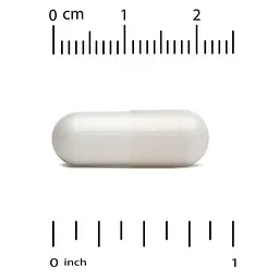 Мастичная смола Mastic Gum 500 mg 60 капсул CGN vit0005401 - миниатюра 3