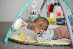 Розвиваючий килимок Taf Toys Мрійливі коали Світ навколо, з дугами (12435) - мініатюра 19