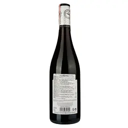 Вино Cape Spring Merlot-Cabernet 2018, червоне, сухе, 13%, 0,75 л (34676) - мініатюра 2