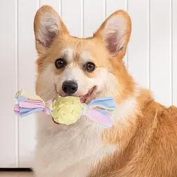 Жувальна іграшка для собак Derby Candy ball with paws and cotton rope - мініатюра 2
