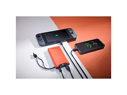 Зовнішній акумулятор (Power Bank) Intenso F10000 10000mAh Orange (7332038) - мініатюра 6