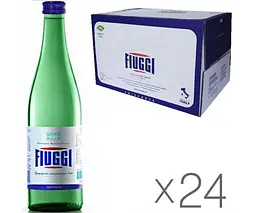 Fiuggi, 0,5 л, Упаковка 24 шт., Вода мінеральна Ф'юджі лікувальна, газована, скло