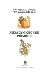 Лікарські овочеві рослини - мініатюра 3