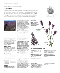 Encyclopedia of Herbal Medicine - мініатюра 9