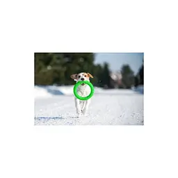 Іграшка для собак Collar PitchDog Кільце для апортування 17 см салатове (62365) - мініатюра 4