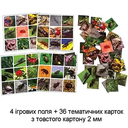 Настільна гра супер ЛОТО "Комахи" 81947, 36 карток - мініатюра 2