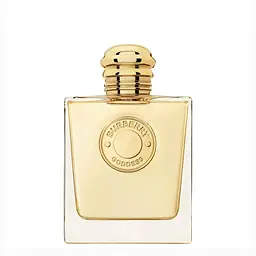 Парфумована вода Goddess 100 ml - мініатюра 2