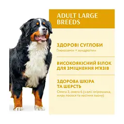 Сухий корм для собак Optimeal для великих порід зі смаком курки 12 кг (4820083905544) - мініатюра 3