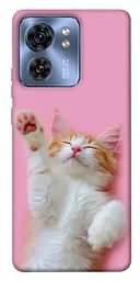 Чохол Demsky Сat chill для Motorola Edge 40