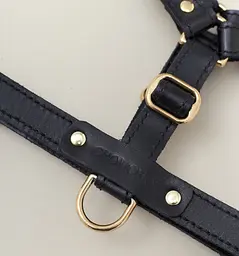 Шкіряна анатомічна шлея для собак "Classy" S чорна (обхват грудини 34-48 см) - мініатюра 4