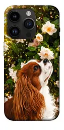TPU чохол Demsky Flower spaniel для Apple iPhone 14 Pro (6.1")