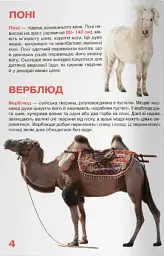 Велика книжка. Свійські тварини - - мініатюра 2
