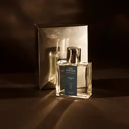 Ароматизатор для авто Esse Car Perfume Морський бриз 60 мл - мініатюра 2