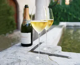 Набір келихів Riedel Superleggero Champagne Wine Glass 460 мл 2 шт. (2425/28-265) - мініатюра 7