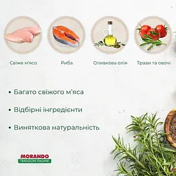 Сухий корм для кошенят Morando Tradizioni Kitten з куркою та лососем 400 г - мініатюра 3