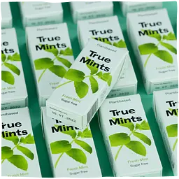 Конфеты True Mints свежая мята 13 г - мініатюра 4