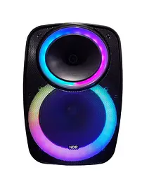 Професійна Bluetooth колонка NDR-A55 15-дюймова з бездротовим мікрофоном - мініатюра 2
