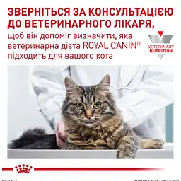 Сухий дієтичний корм для дорослих котів Royal Canin Early Renal при захворюваннях нирок, 1,5 кг (1242015) - мініатюра 5