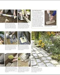 RHS Encyclopedia of Garden Design: Planning, Building and Planting Your Perfect Outdoor Space - Кріс Янг - мініатюра 11