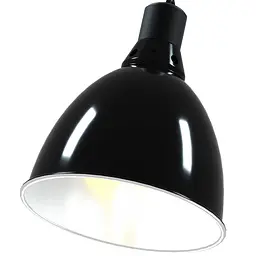 Світильник глибокий рефлекторний Repti-Zoo 2in1 Deep Dome 200W (RL14B) - мініатюра 1