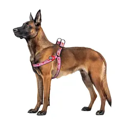 Шлея для собак WAUDOG Nylon з QR паспортом "Чудо-жінка 1" пластиковий фастекс XL (324-2015) - мініатюра 3