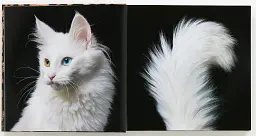 Feline - мініатюра 3