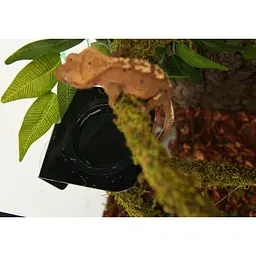 Ліана гнучка з натуральним мохом для тераріуму Repti-Zoo Artificial Moss Vine 2см x 2м (RV0220) - мініатюра 8