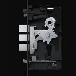 Розумний замок Aqara Smart Door Lock D100 Global EU (ZNMS20LM) [71968] - мініатюра 6