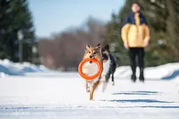 Кільце PitchDog (4823089302454) - мініатюра 2