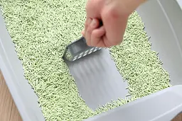 Наповнювач для котячих туалетів UniQ PETS Tofu Green Tea біорозкладний 5 кг - мініатюра 8