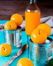 Саджанець Agro-Market Слива Жовта Афаска (літній сорт, середній термін дозрівання) (39969) 1 шт. в упаковці - мініатюра 3